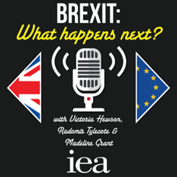 IEA: Brexit -  What Happens Next?